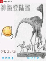 �񼶵�½��
