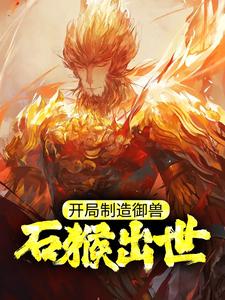 �����������ޣ�ʯ�������