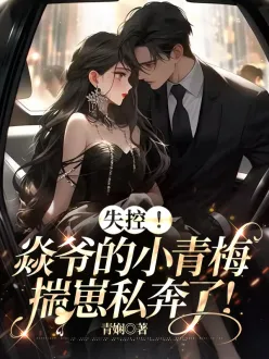 ʧ�أ���ү��С��÷����˽���ˣ�