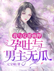 ���뷴�ɻ�Ѻ�������������޹�