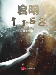 ����1158
